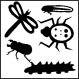 MG: hmyz