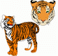 MG: el tigre