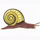 MG: 蜗牛