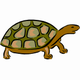 MG: черепаха