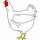 MG: دجاجة; فرخ دجاج; دّجاج; فرخ، فروج; لحم فِراخِ الدجاج; دجاج; دجج