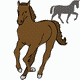 MG: лошадь; конь