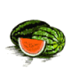 MG: squash; melon