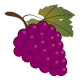 MG: grape